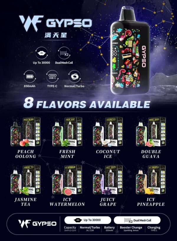 王嘉尔同款 GYPSO滿天星拋棄式30000口（即將開賣）