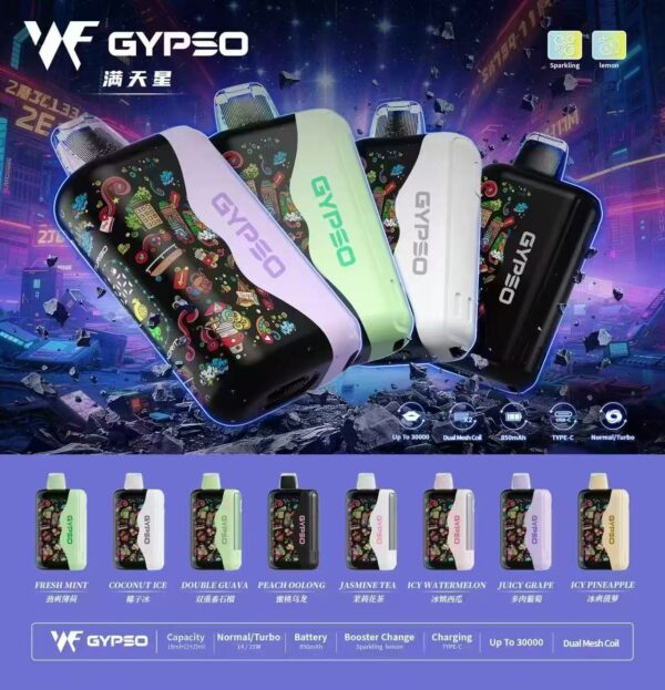 王嘉尔同款 GYPSO滿天星拋棄式30000口（即將開賣）